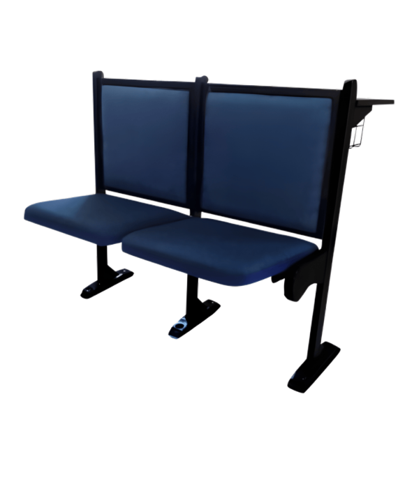 Padded and Non Padded Lecture Seats